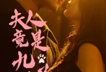 最新短剧《夫人竟是九尾狐闫海明》全集在线免费观看-野人短剧网