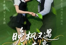 最新短剧《晚枫又遇江南意（60集》全集在线免费观看-野人短剧网