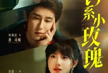 最新短剧《钓系小玫瑰林枫松》全集在线免费观看-野人短剧网