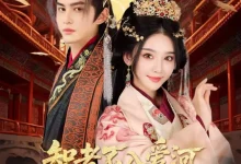 最新短剧《智者不入爱问娘娘不想负责胡珈怡》全集在线免费观看-野人短剧网