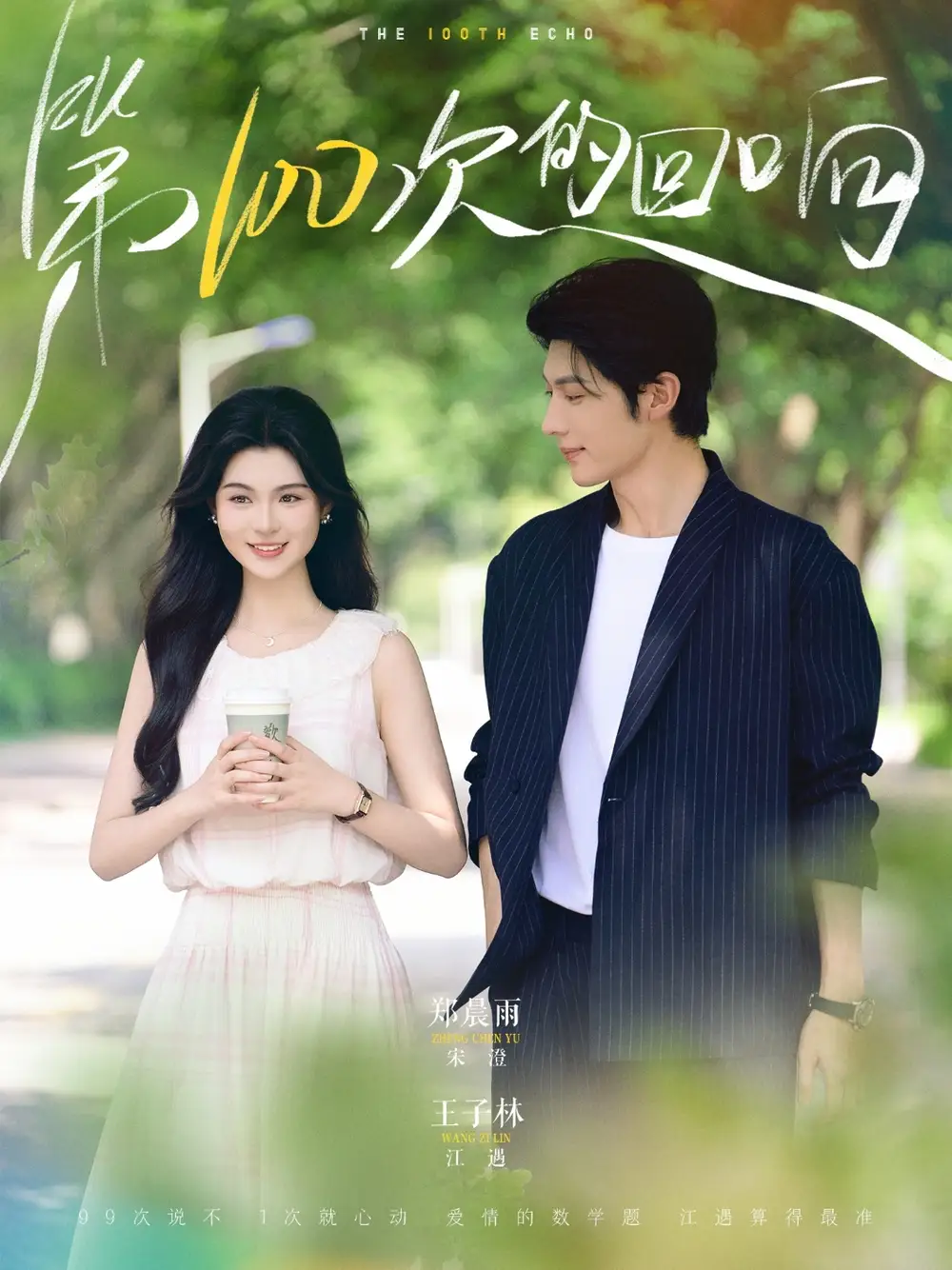 第100次的回响（73集）海报