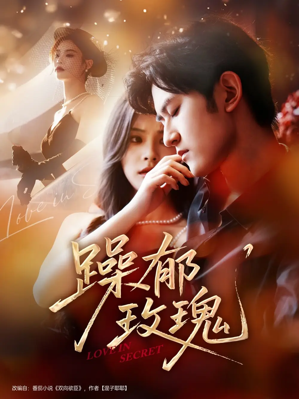 躁郁玫瑰 （71集）海报