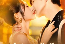 最新短剧《追妻路漫漫》全集在线免费观看-野人短剧网