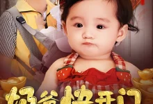 最新短剧《奶爸快开门萌宝送福气》全集在线免费观看-野人短剧网