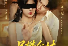 最新短剧《另攀金枝》全集在线免费观看-野人短剧网