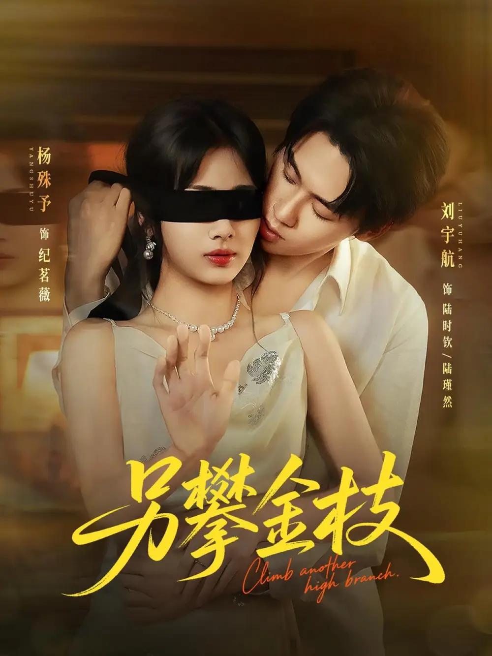 另攀金枝(60集)高清海报图片 另攀金枝(60集)海报