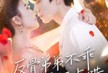 最新短剧《反骨弟弟不乖要轻点哄》全集在线免费观看-野人短剧网