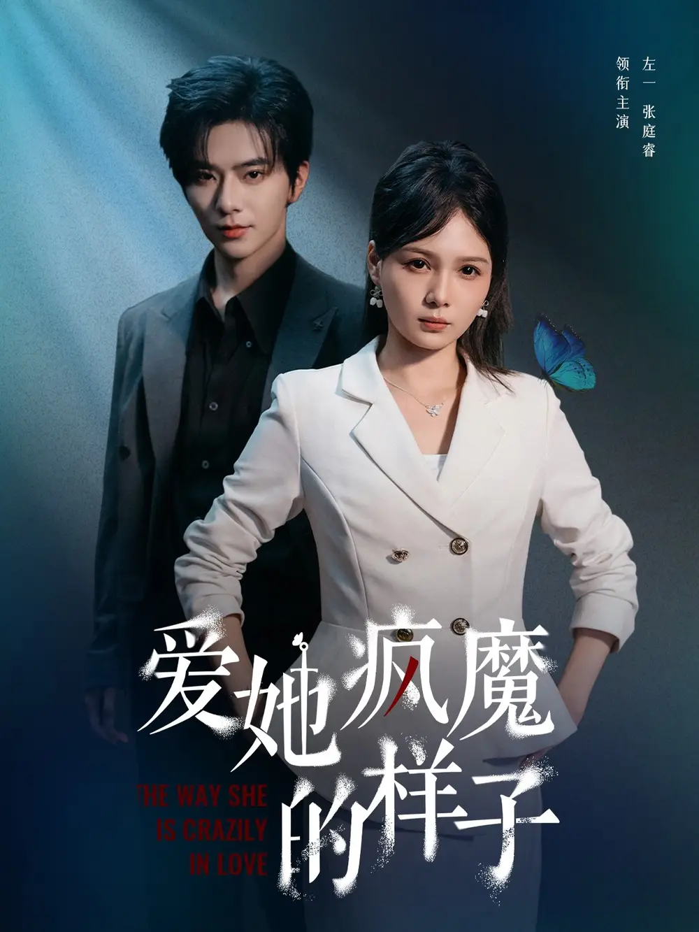 爱她疯魔的样子(80集高清海报图片 爱她疯魔的样子(80集海报