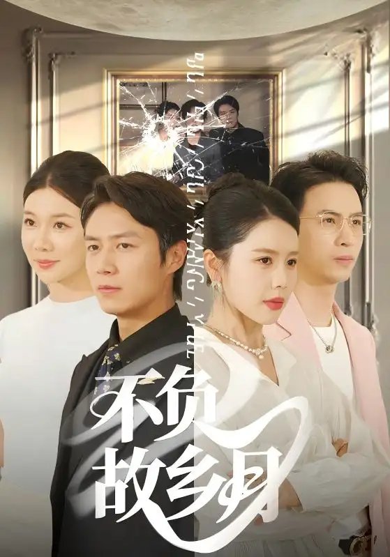 不负故乡月（70集）海报