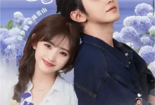 最新短剧《无法结婚的我们》全集在线免费观看-野人短剧网