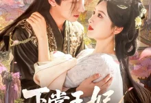 最新短剧《下堂王妃逆袭记》全集在线免费观看-野人短剧网