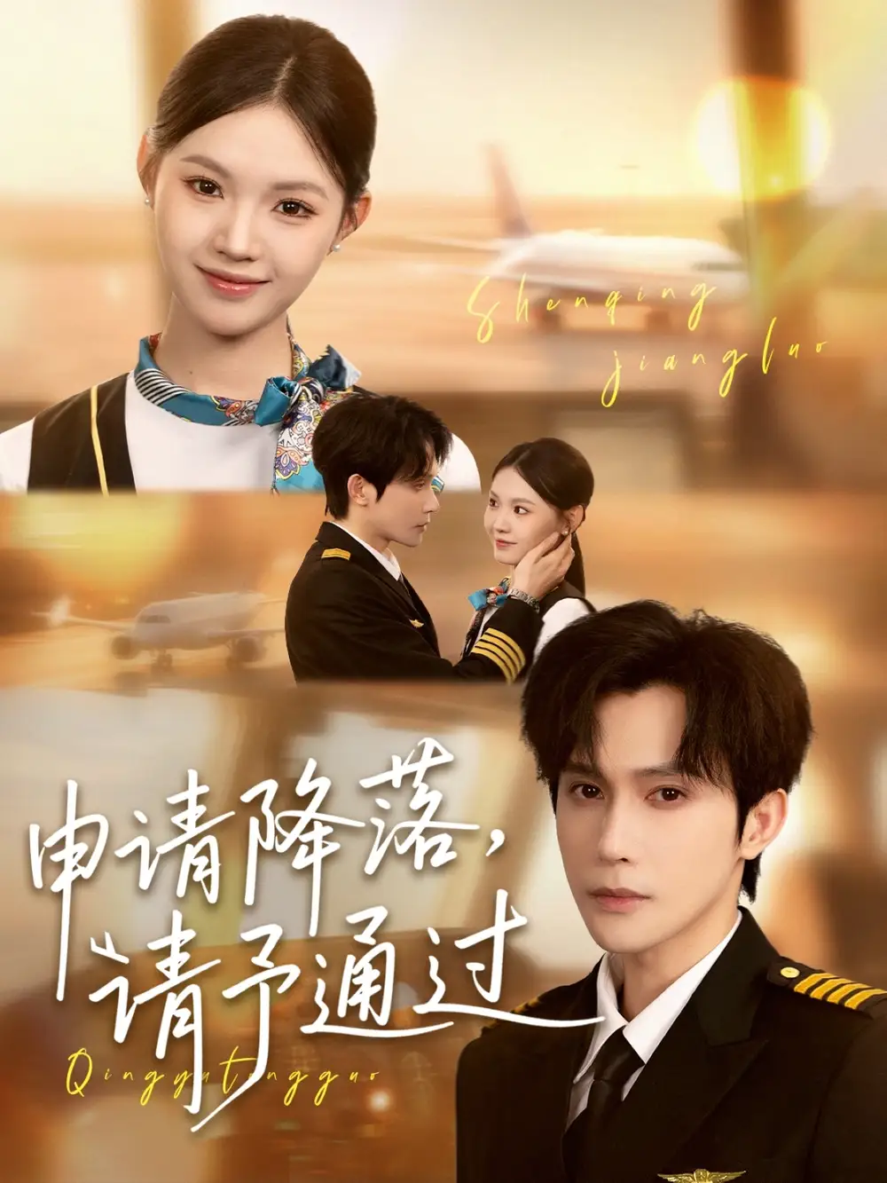 申请降落请予通过(60集)高清海报图片 申请降落请予通过(60集)海报