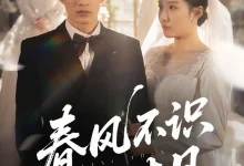 最新短剧《春风不识旧时月》全集在线免费观看-野人短剧网