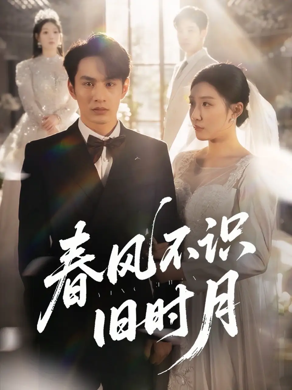 春风不识旧时月（62集）海报