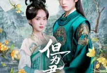 最新短剧《但为君故》全集在线免费观看-野人短剧网