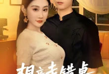 最新短剧《相亲走错桌御姐女友爱上我》全集在线免费观看-野人短剧网