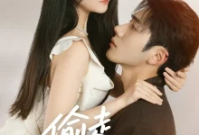 最新短剧《偷走半个月亮》全集在线免费观看-野人短剧网