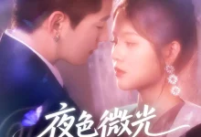 最新短剧《夜色微光抚心醒 王羽墨》全集在线免费观看-野人短剧网