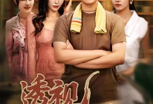 最新短剧《透视小医仙》全集在线免费观看-野人短剧网