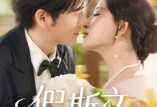 最新短剧《假斯文王如玮》全集在线免费观看-野人短剧网