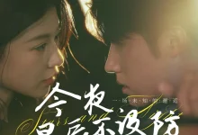 最新短剧《今夜星辰不设防》全集在线免费观看-野人短剧网