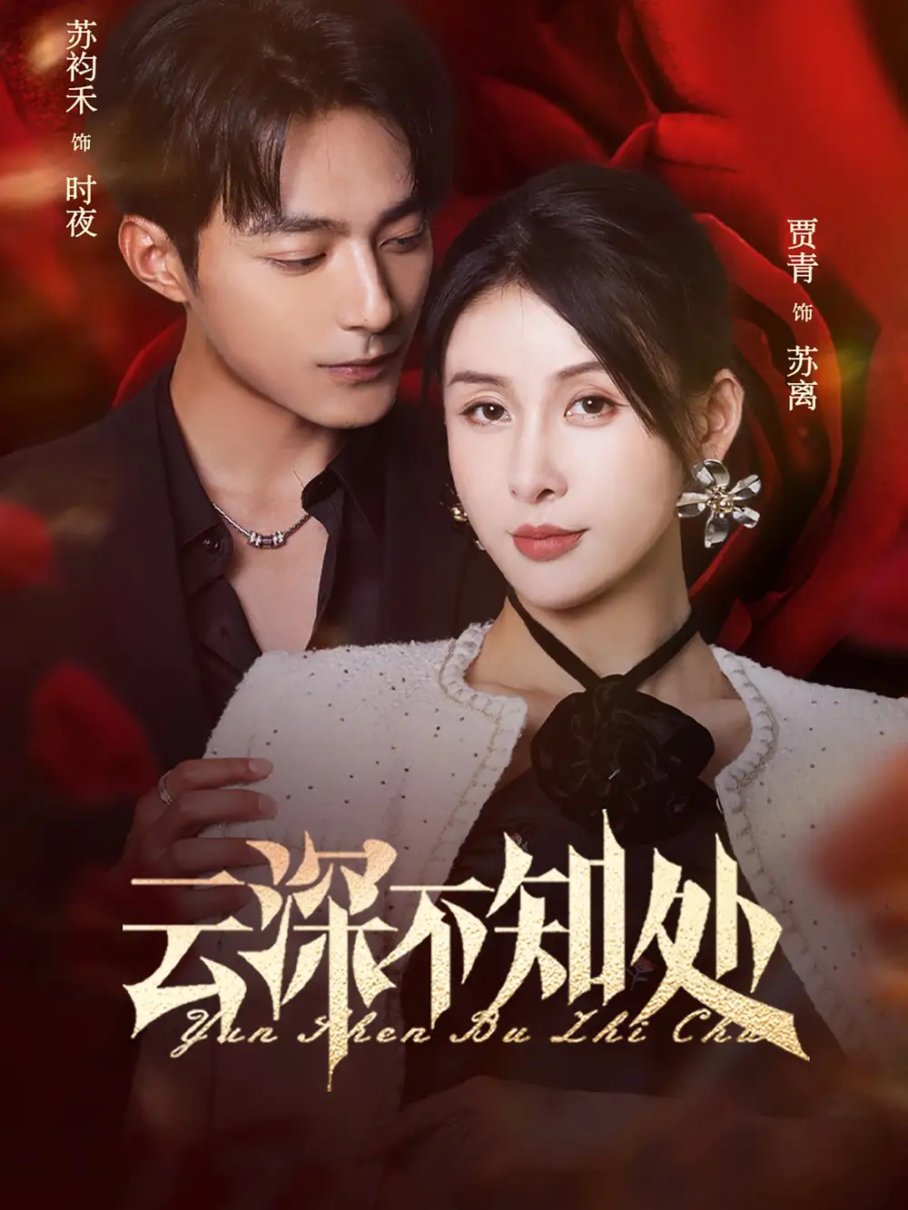 云深不知处（75集）贾青海报