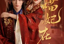 最新短剧《喵妃在上》全集在线免费观看-野人短剧网