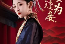 最新短剧《贬妻为妾,医女竟是长公主》全集在线免费观看-野人短剧网