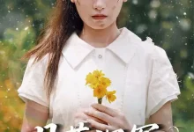 最新短剧《月落沉冤今当昭雪》全集在线免费观看-野人短剧网