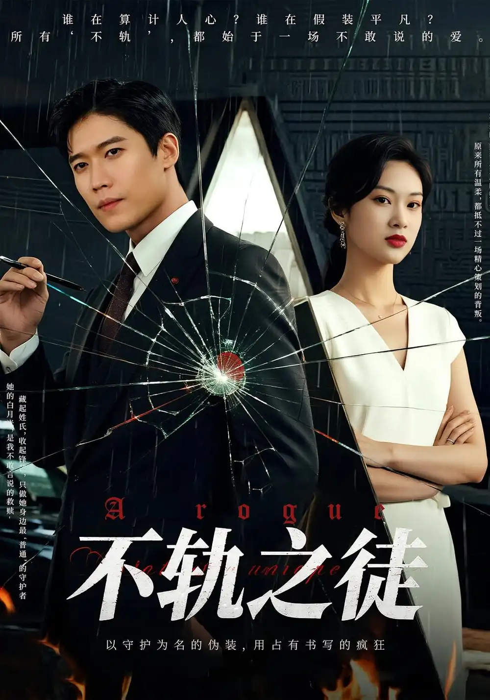 不轨之徒（72集）海报