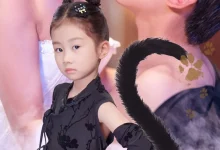 最新短剧《萌宝是满级玄猫》全集在线免费观看-野人短剧网