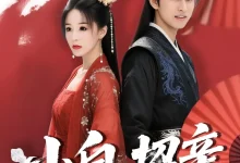 最新短剧《小白招亲  菲儿》全集在线免费观看-野人短剧网