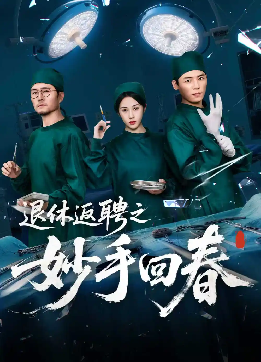 退休返聘之妙手回春 (60集) 朱文玉高清海报图片 退休返聘之妙手回春 (60集) 朱文玉海报