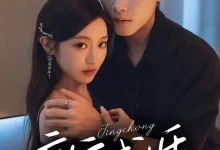 最新短剧《京宠成婚》全集在线免费观看-野人短剧网