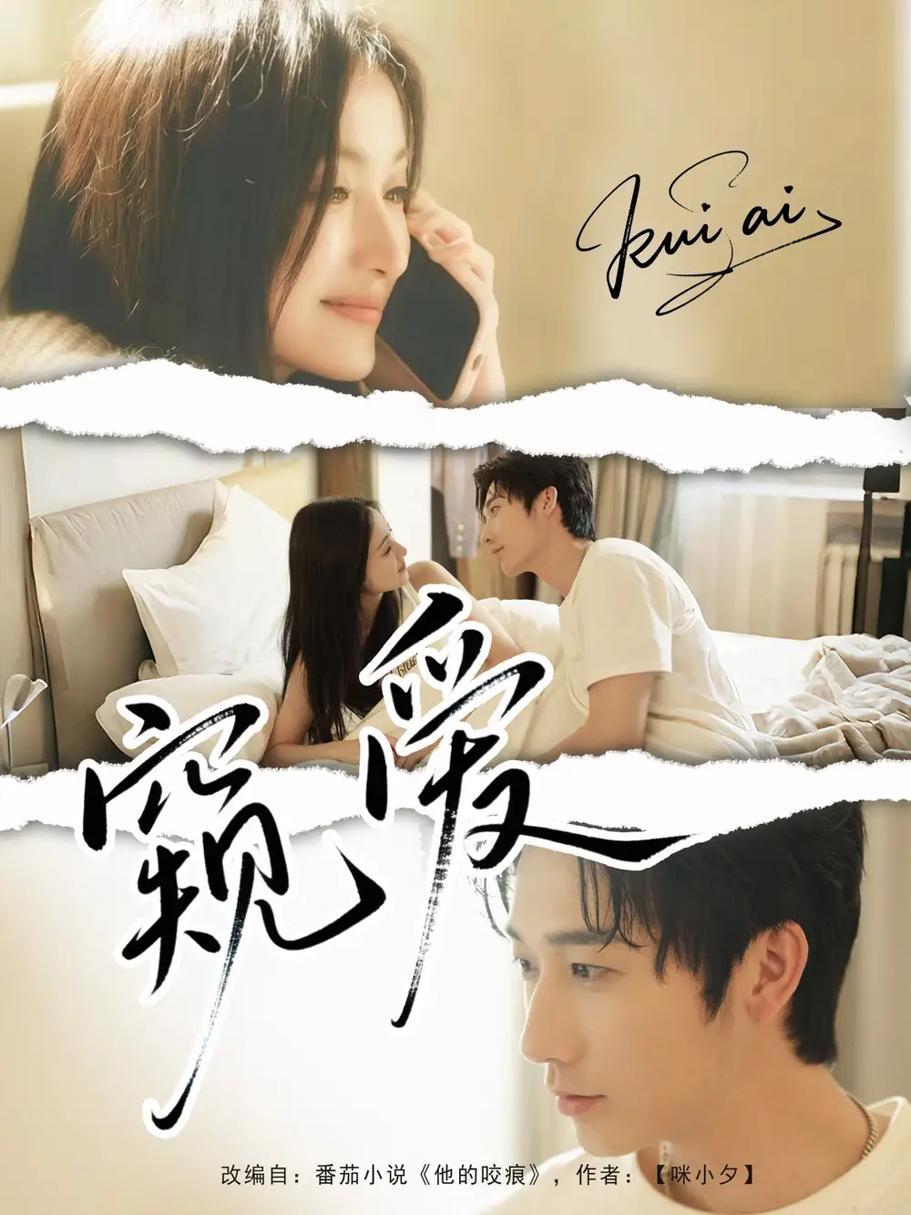 窥爱(96集)高清海报图片 窥爱(96集)海报