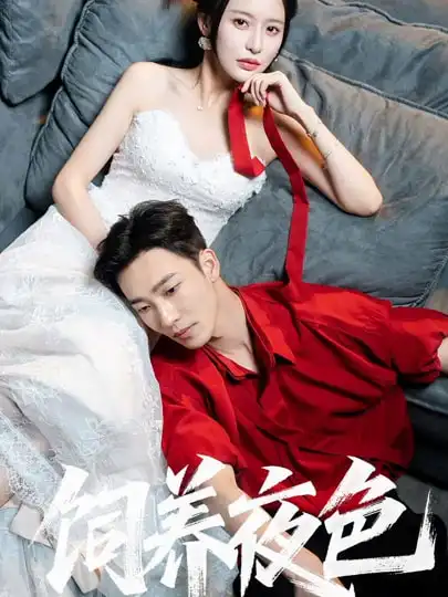 饲养夜色（86集）姚冠宇＆陈思澈海报