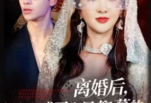 最新短剧《离婚后前妻成了我最仰慕的歌坛天后》全集在线免费观看-野人短剧网