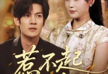 最新短剧《惹不起的妻子》全集在线免费观看-野人短剧网