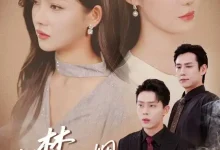 最新短剧《旧梦如烟念倾约张添景》全集在线免费观看-野人短剧网