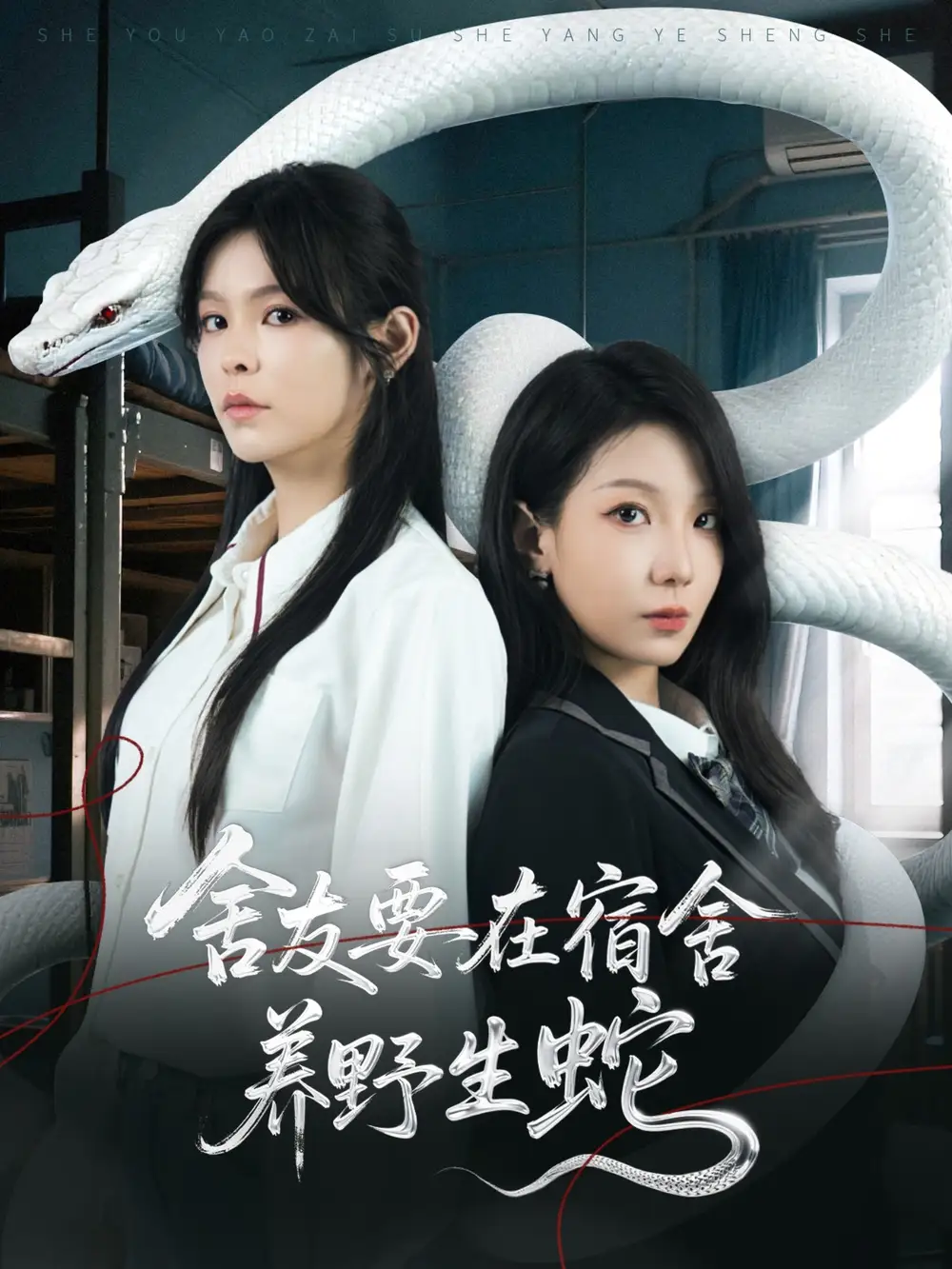 舍友要在宿舍养野生蛇(60集)高清海报图片 舍友要在宿舍养野生蛇(60集)海报